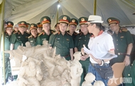 Defense chief inspects progress of monument area dedicated to international soldiers